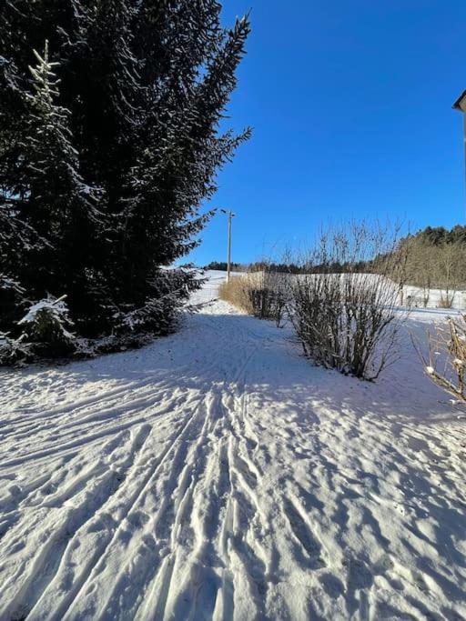 Franzis Feriendomizil Im Herzgebirge Am Skihang Auerbach  Buitenkant foto