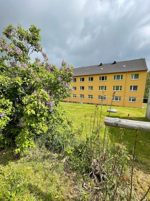 Franzis Feriendomizil Im Herzgebirge Am Skihang Auerbach  Buitenkant foto