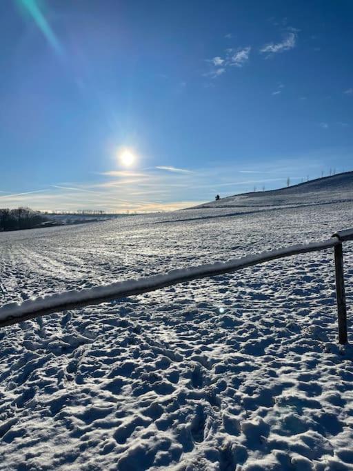 Franzis Feriendomizil Im Herzgebirge Am Skihang Auerbach  Buitenkant foto