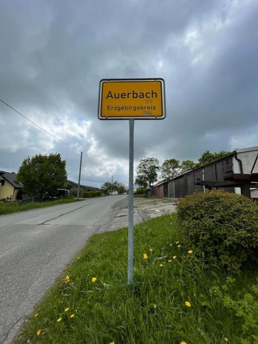 Franzis Feriendomizil Im Herzgebirge Am Skihang Auerbach  Buitenkant foto