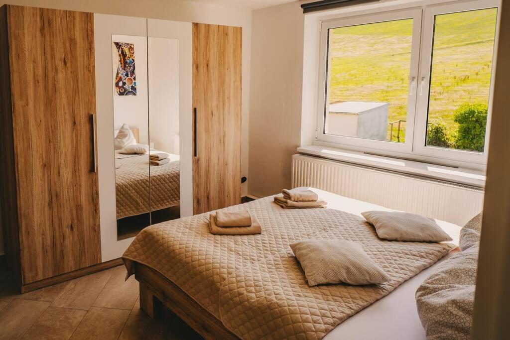 Franzis Feriendomizil Im Herzgebirge Am Skihang Auerbach  Buitenkant foto