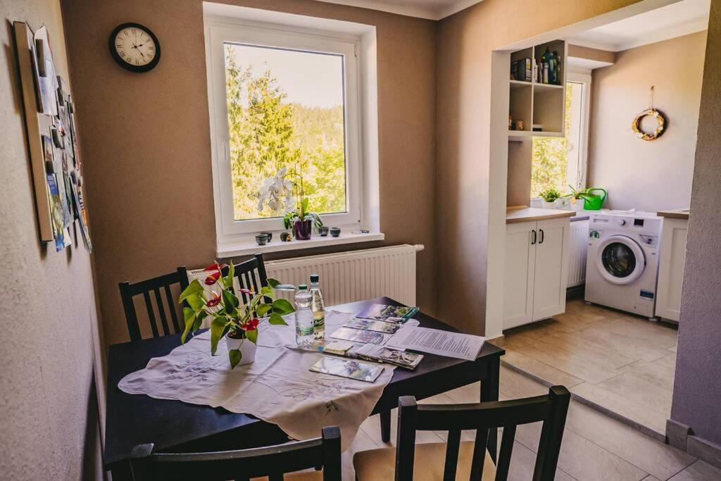 Franzis Feriendomizil Im Herzgebirge Am Skihang Auerbach  Buitenkant foto