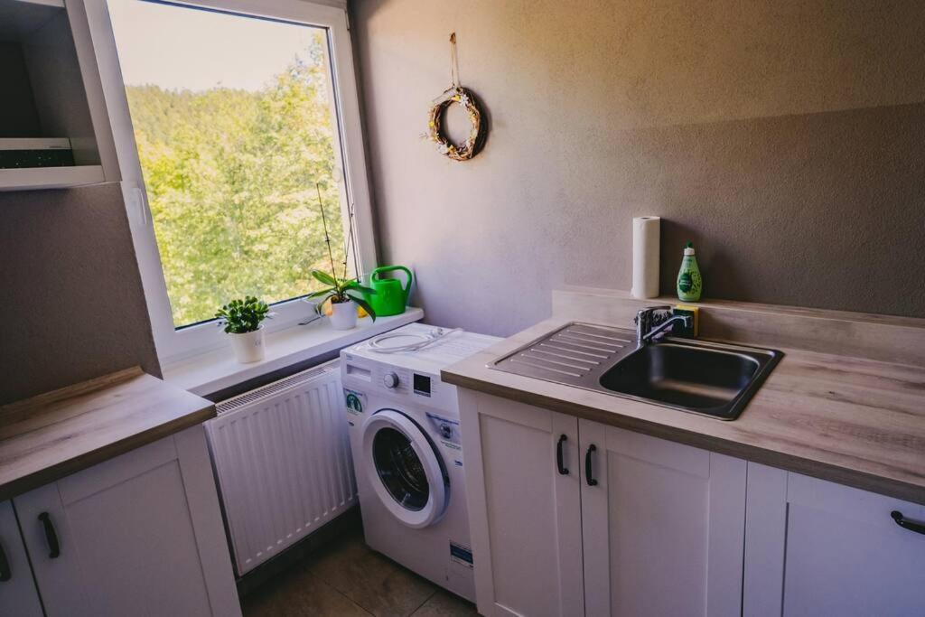 Franzis Feriendomizil Im Herzgebirge Am Skihang Auerbach  Buitenkant foto