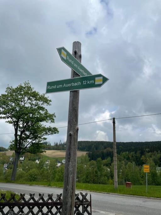 Franzis Feriendomizil Im Herzgebirge Am Skihang Auerbach  Buitenkant foto